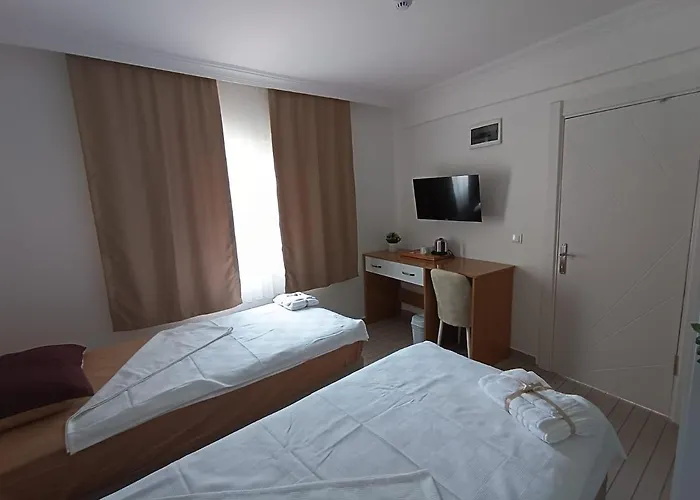 Otelia 게스트하우스 Ayvalı