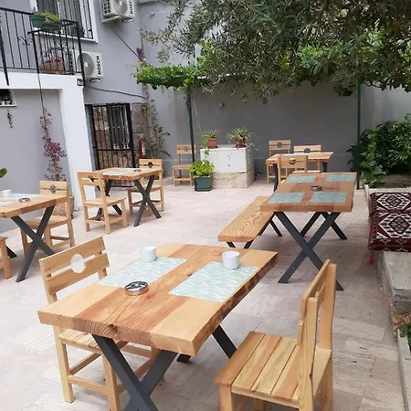 Otelia Айвалык