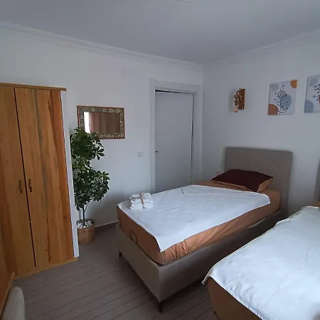 Otelia Айвалык