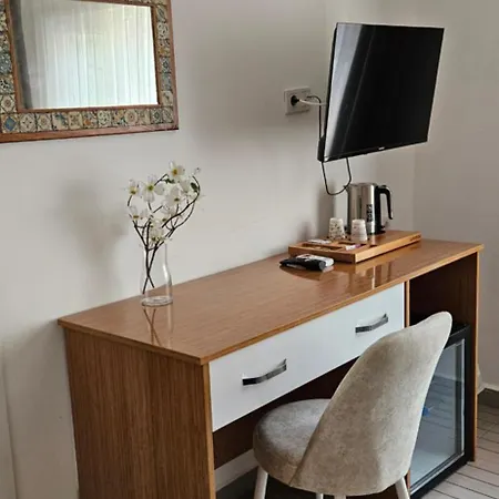 Otelia בית הארחה 3*